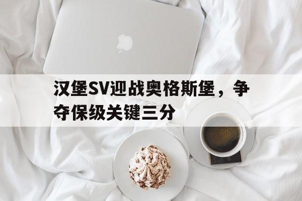 汉堡SV迎战奥格斯堡，争夺保级关键三分